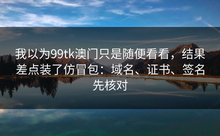 我以为99tk澳门只是随便看看，结果差点装了仿冒包：域名、证书、签名先核对
